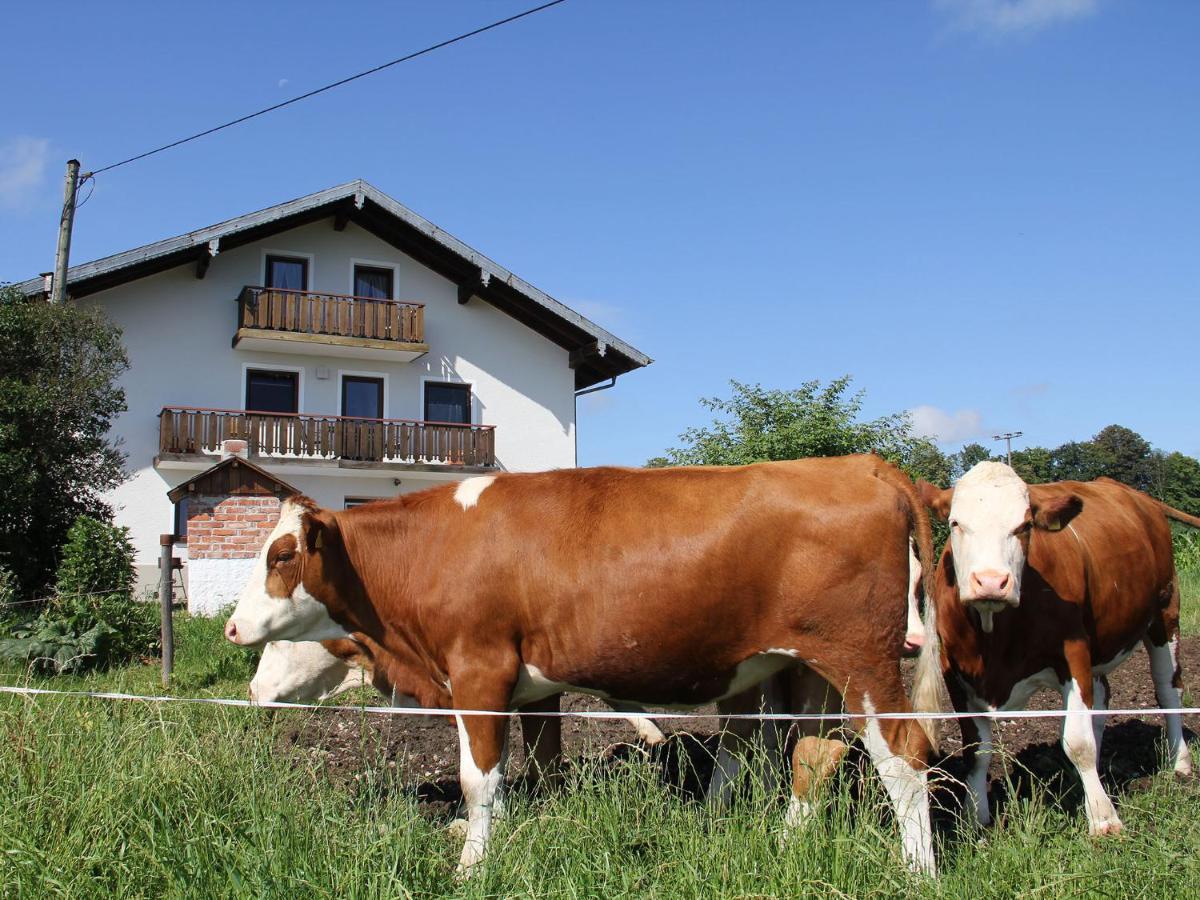 Haslacher Hof Waging am See Zewnętrze zdjęcie